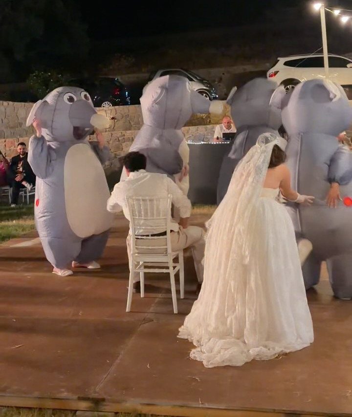 Bride and groom interacting with people in inflatable dolphin costumes at night