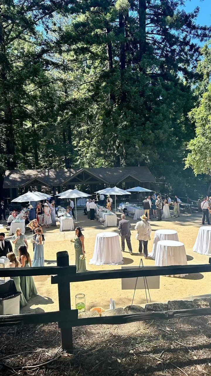 Outdoor wedding reception with guests standing by white cocktail tables under tall trees.