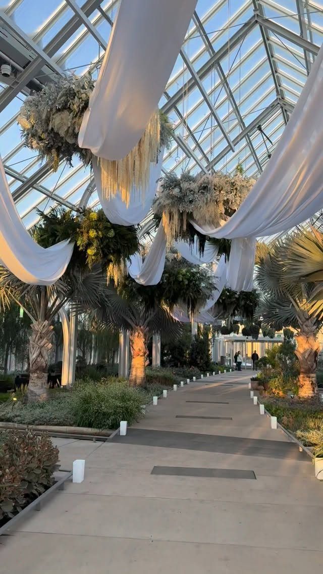 Dream Wedding Venue Ideas: 11 Places to Say I Do 1 Glass conservatory with white fabric draping, palm trees, and a paved garden path.