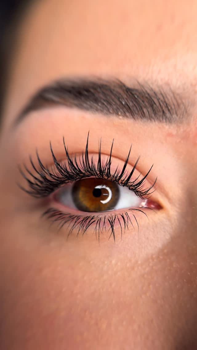 Brown eye with long, curled, defined black eyelashes and a groomed eyebrow.