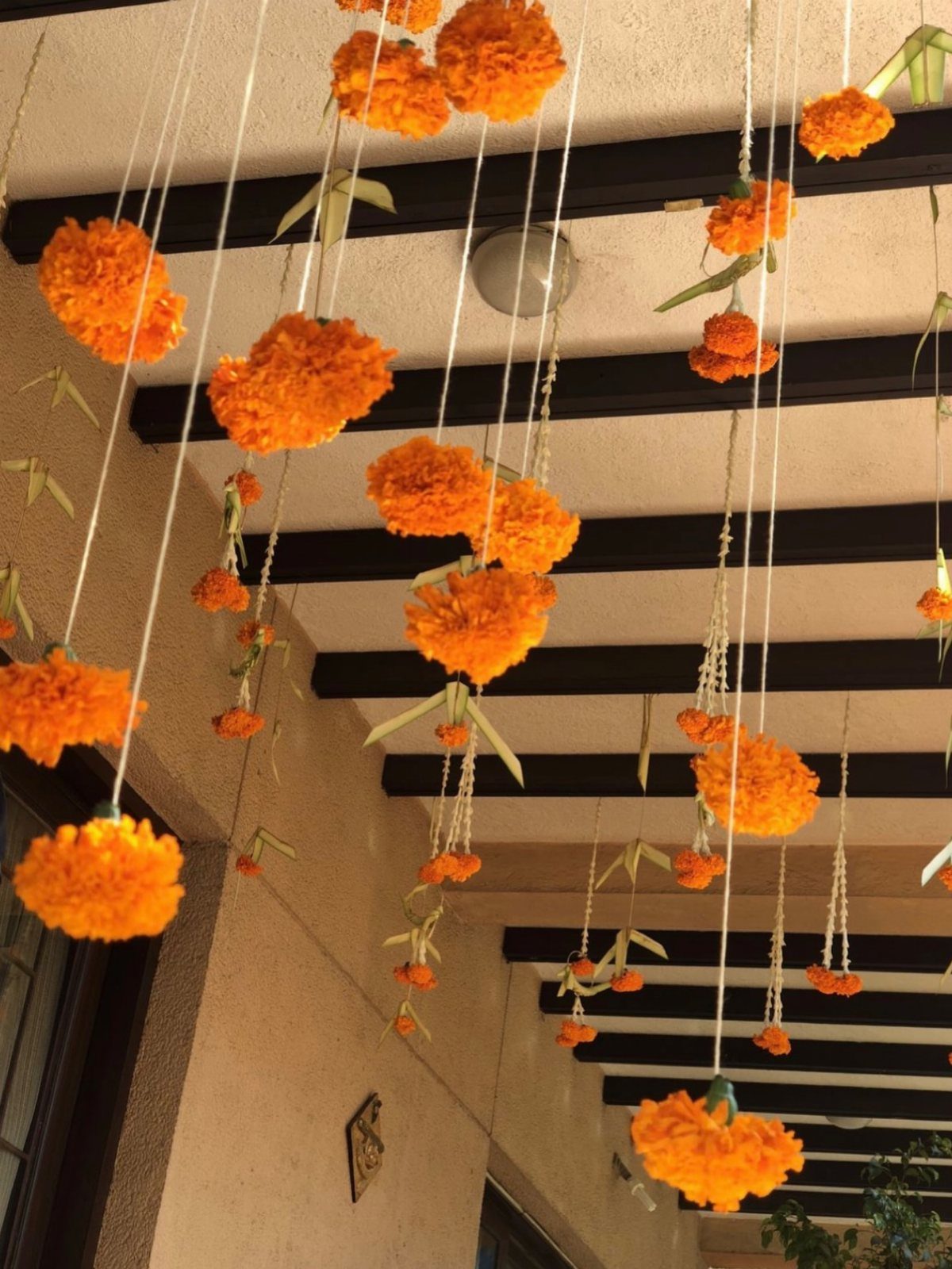 Orange marigold flower strands hanging vertically from dark wooden ceiling beams.