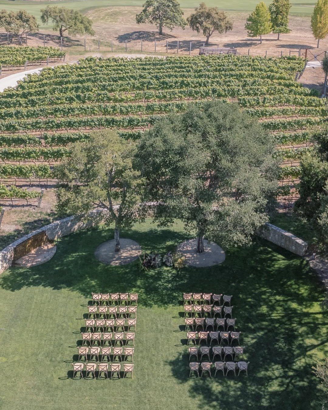 Wedding ceremony chairs on a lawn overlooking a sprawling vineyard with green trees.