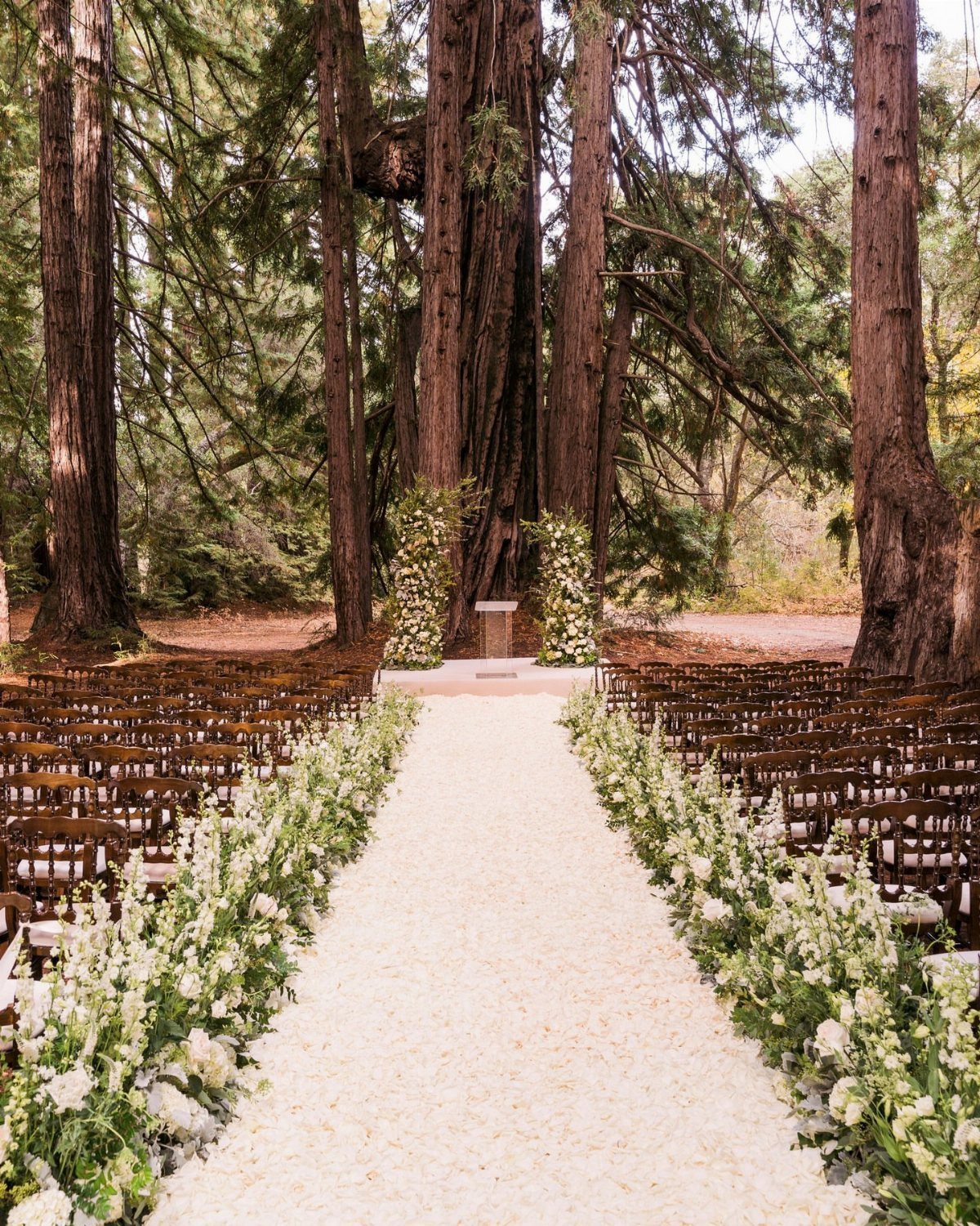 Outdoor wedding ceremony aisle with white petals and flowers under tall redwood trees.