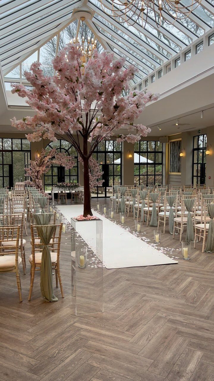 Wedding ceremony setup with light pink blossom tree and sage green chair sashes