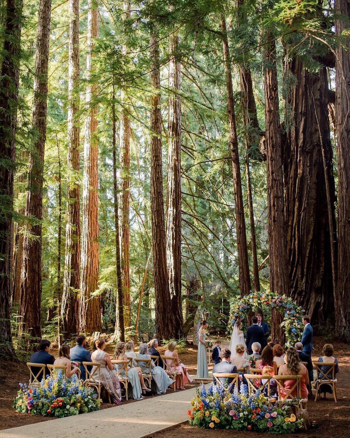 Wedding ceremony in a redwood forest with guests seated by a floral arch.