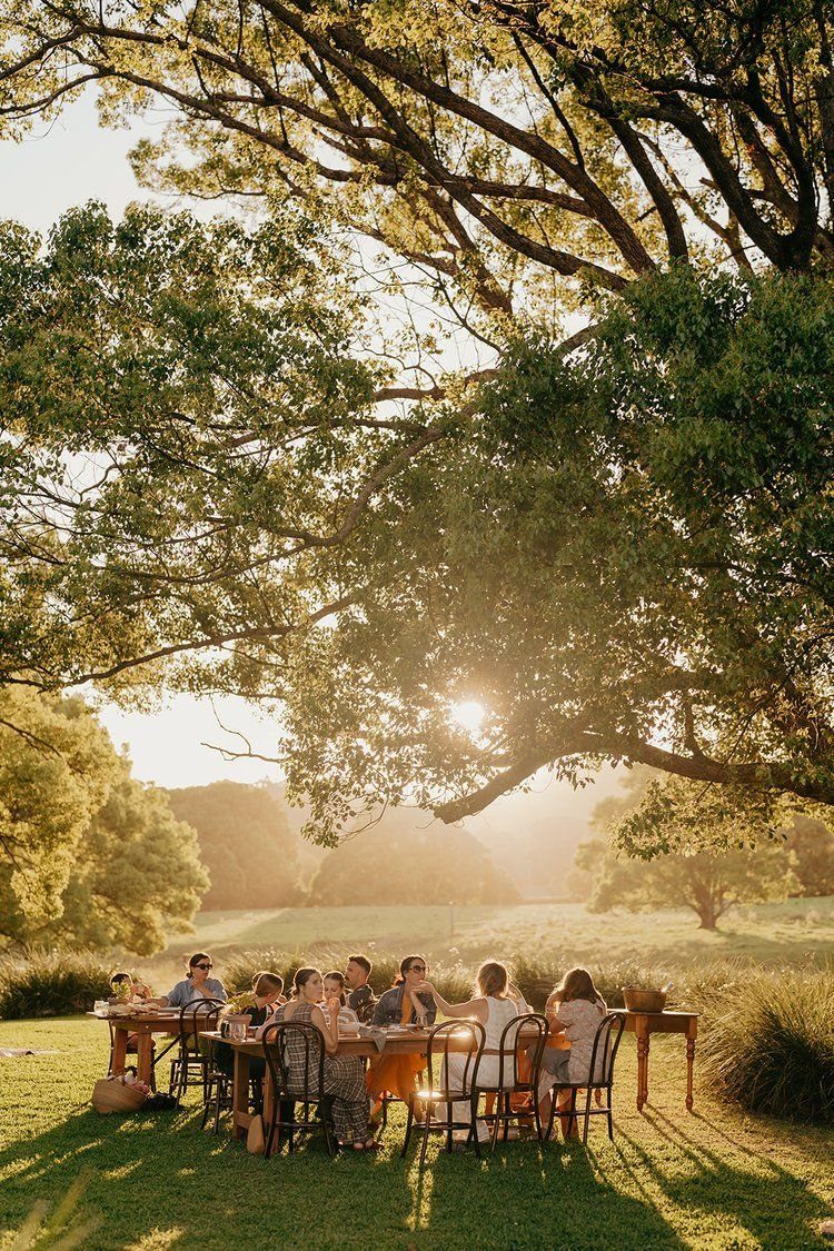 No Wedding Party? 6 Ideas for Celebrating Without One 6 People dining at a long wooden table under a large tree in a field.