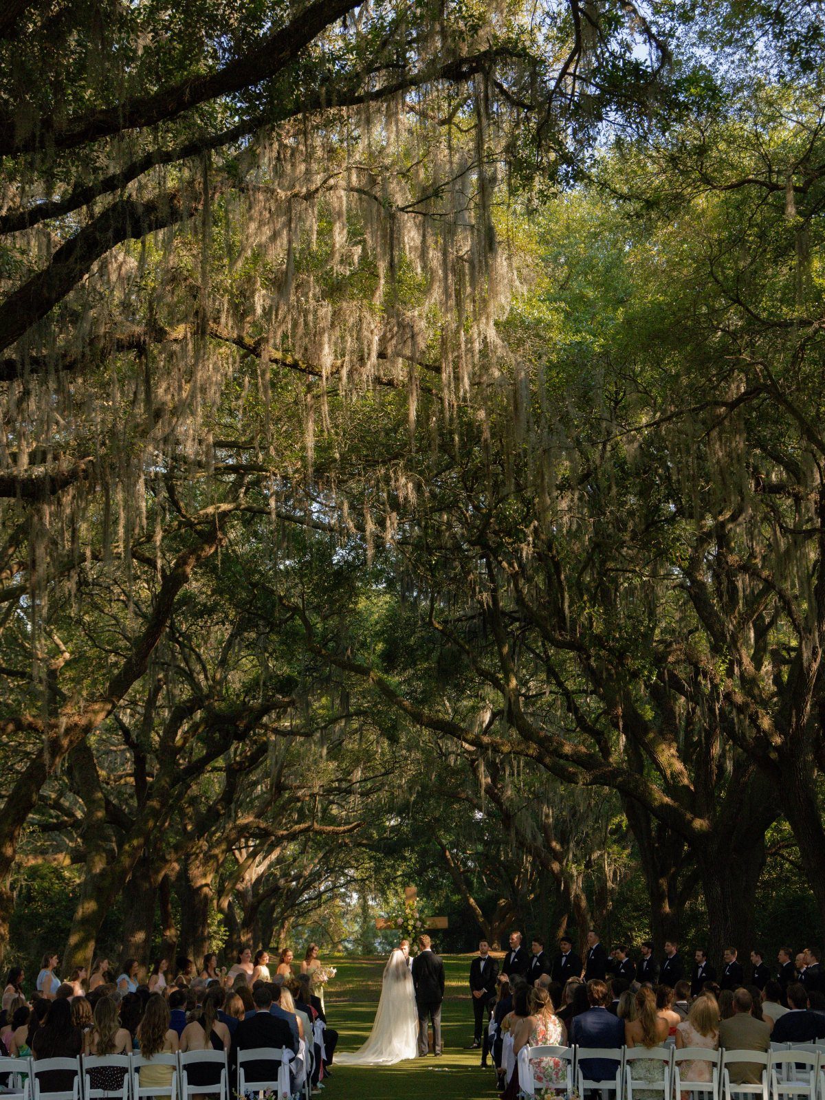 Outdoor wedding ceremony under oak trees with Spanish moss and seated guests.