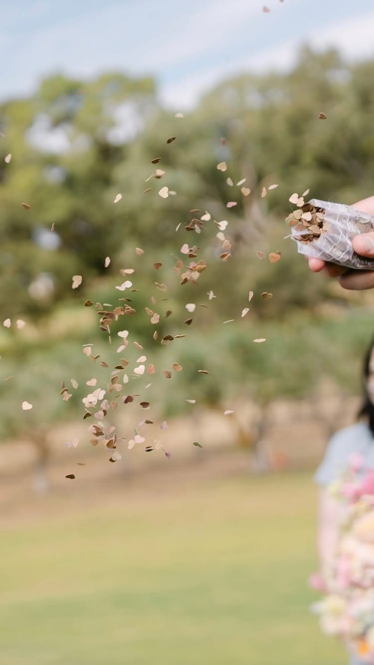 13 Small Wedding Party Ideas for an Intimate Celebration 12 Heart-shaped dried petals being thrown into the air in a sunny outdoor setting.