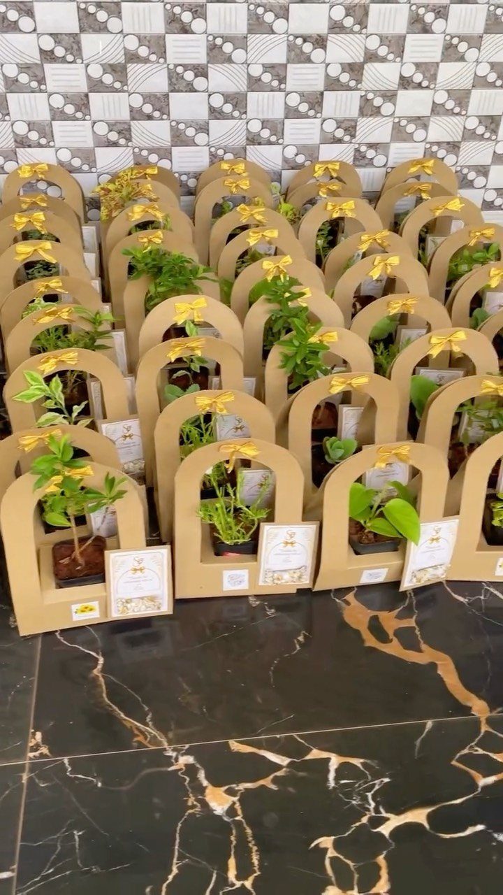 13 Small Wedding Party Ideas for an Intimate Celebration 5 Small potted plants in brown cardboard holders with yellow bows as wedding favors.
