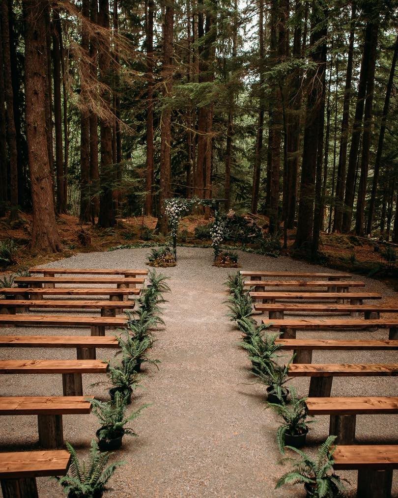 9 Uncommon Wedding Colors for Couples Who Skip the Usual 5 Wooden wedding benches and a floral arch in a brown and green forest setting.