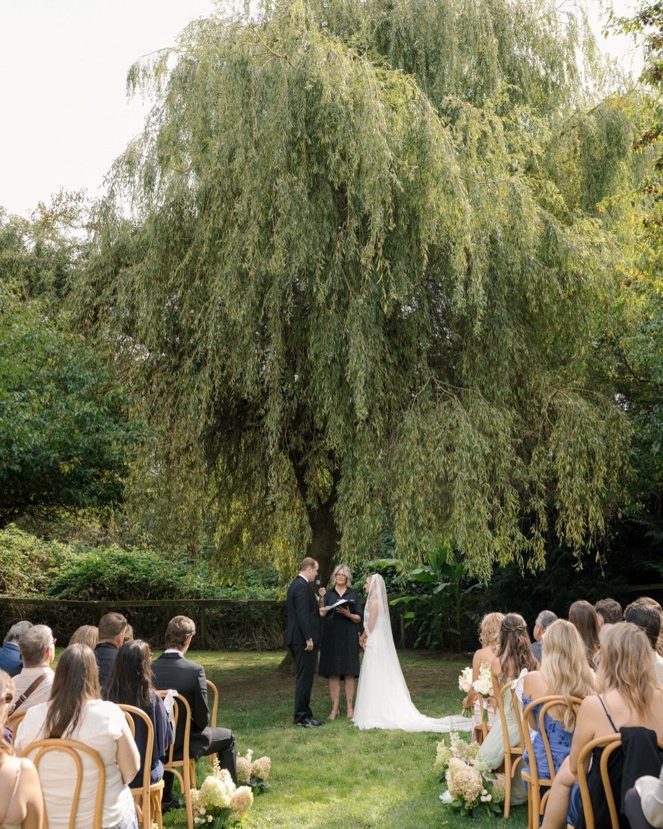 Wedding ceremony under a large weeping willow tree with guests seated on a lawn.