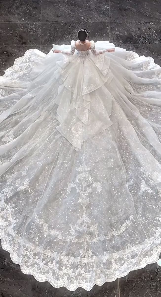 Woman in a voluminous white wedding dress with a long, ornate lace train.