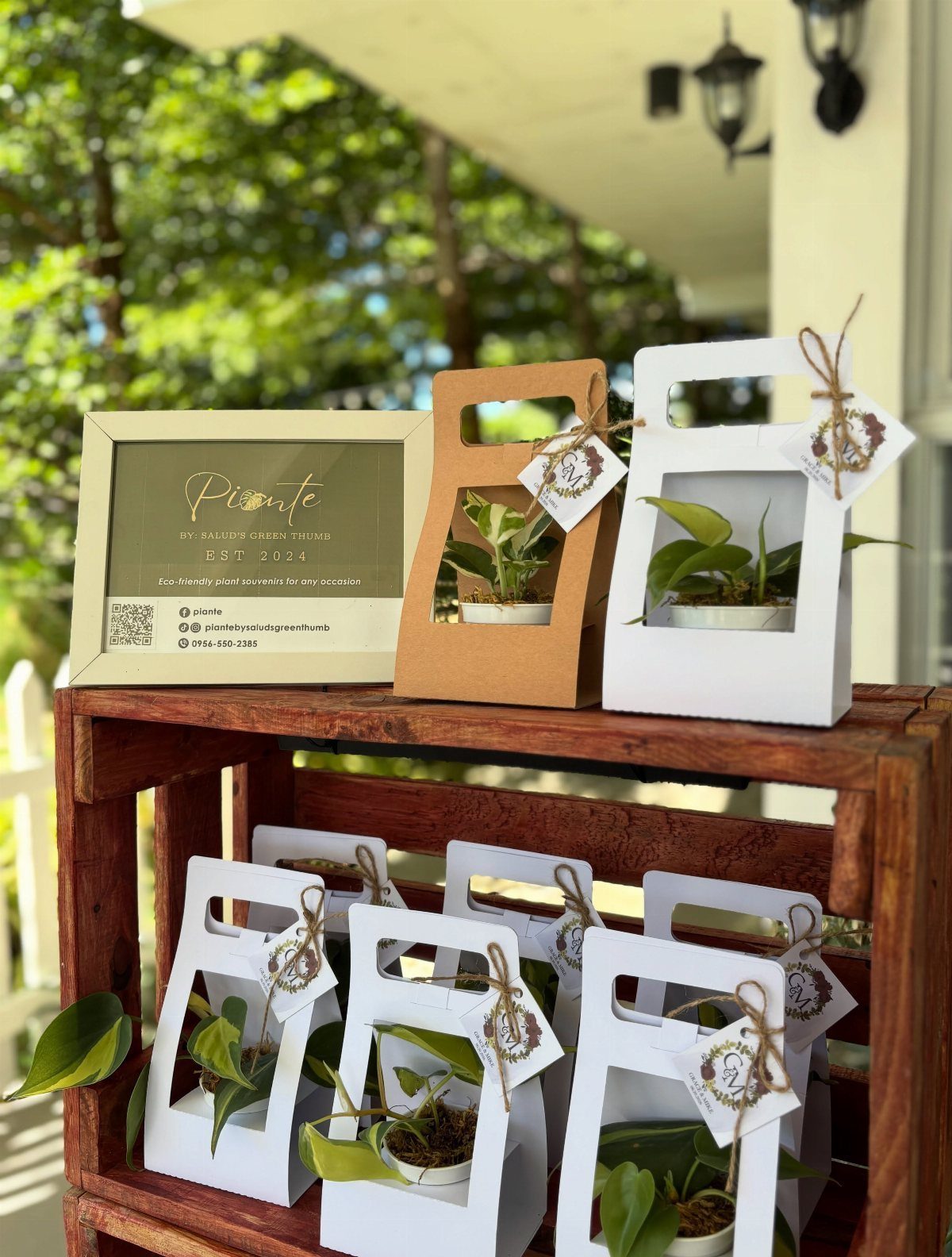 30 Wedding Guest Keepsakes Your Guests Will Actually Use 14 Small potted plants in cardboard gift carriers arranged on a rustic wooden crate.