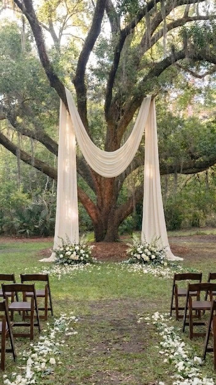 Wedding ceremony setup with white fabric draping from a large oak tree outdoors.