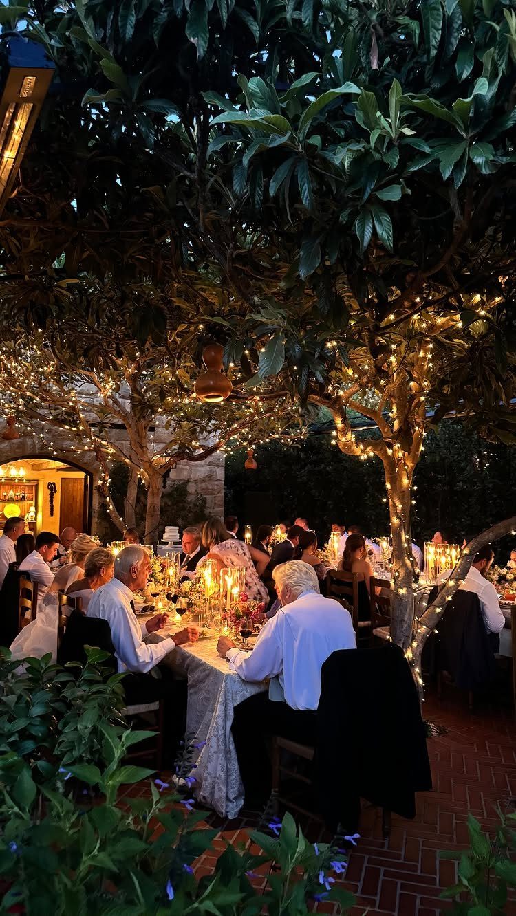 Outdoor dinner party in a garden with fairy lights draped over large trees.