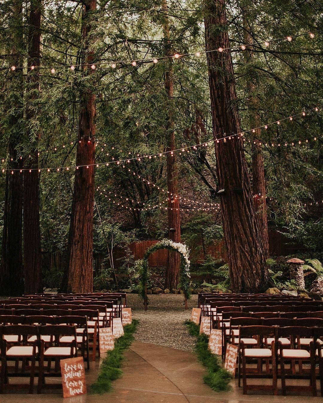 Woodland wedding ceremony setup with redwood trees, string lights, and a floral arch.