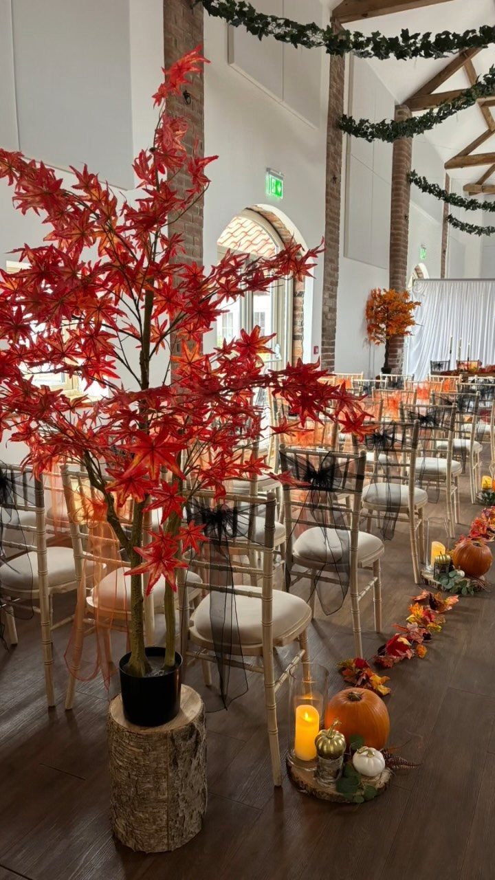 10 Wedding Venue Decorations for a Standout Celebration 6 Red autumn leaf tree and orange pumpkins decorating a wedding venue aisle.